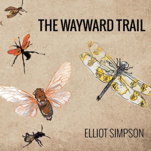 Wayward Trail cover